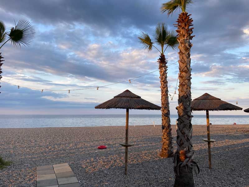 Pebble beach with palms and straw parasols at Sant'Angelo