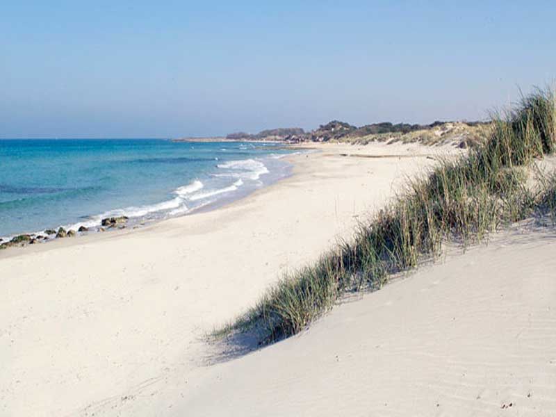 Weißer Sandstrand mit Strandhafer und Dünen bei Torre Guaceto
