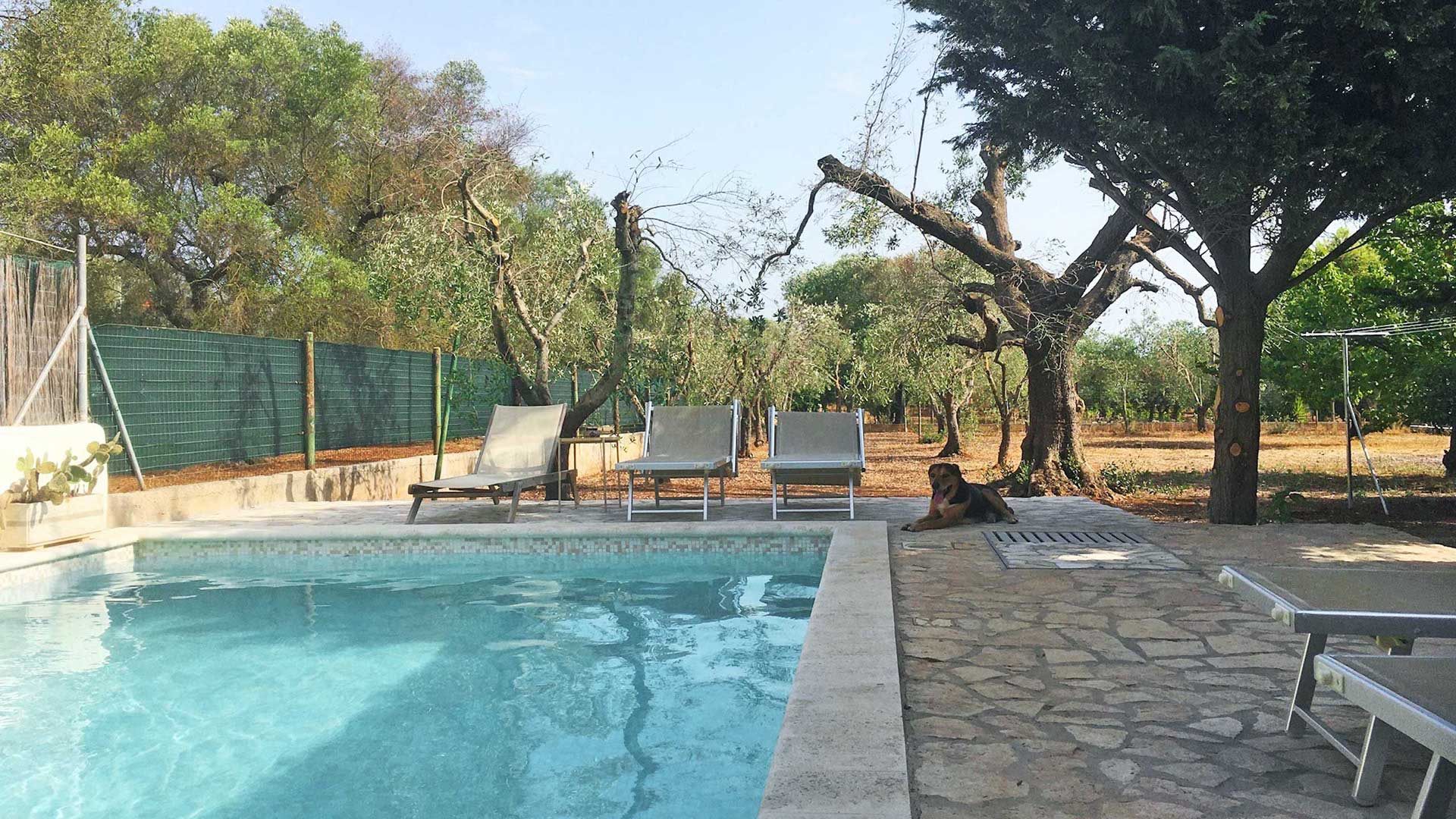 Privatpool von Villa Gabellotti mit Liegen, umgeben von Olivenbäumen